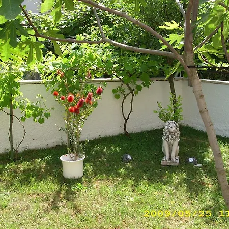 Ljubica Veilchen Apartment